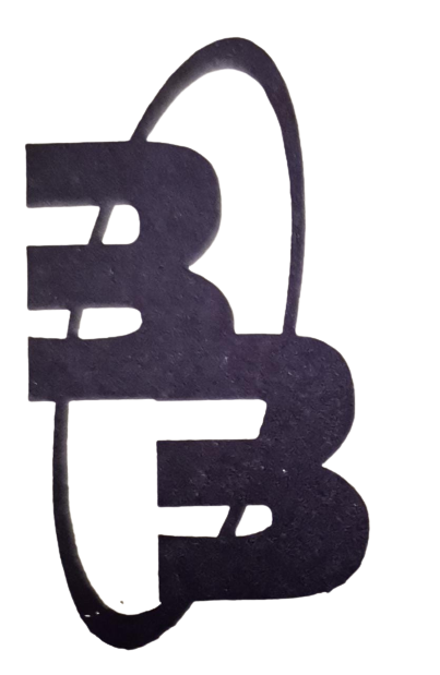 Baig Brothers Logo